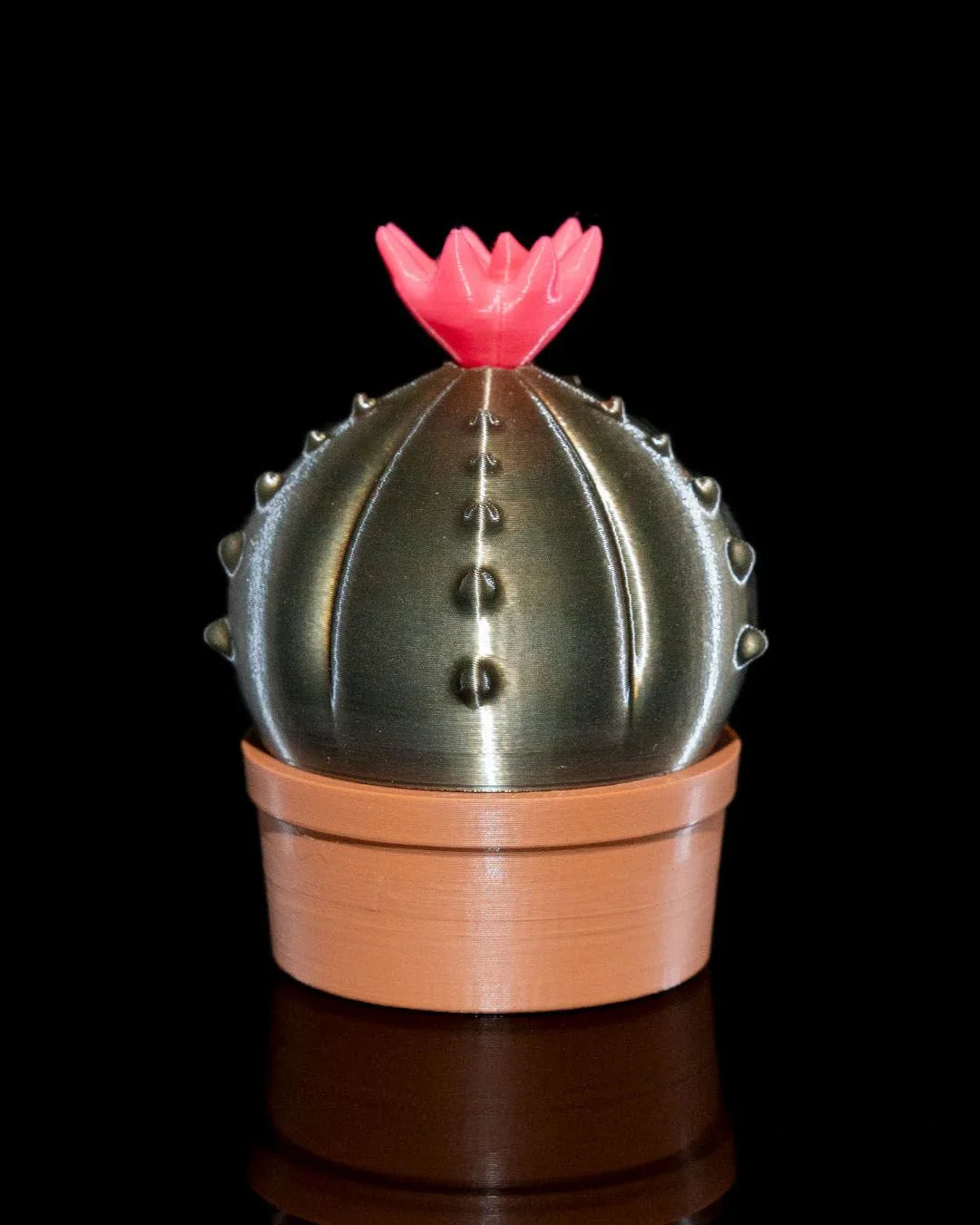 Cactus Grinder Fidget Toy - Fusion Layer 3D