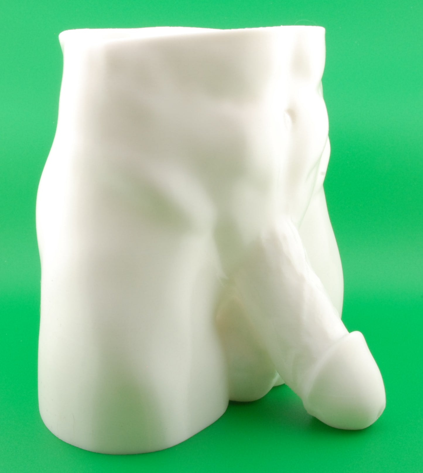 Hung & Planted Naughty Planter – Funny Adult Novelty Pot | Risqué Gag Gift | Naughty Succulent & Herb Holder