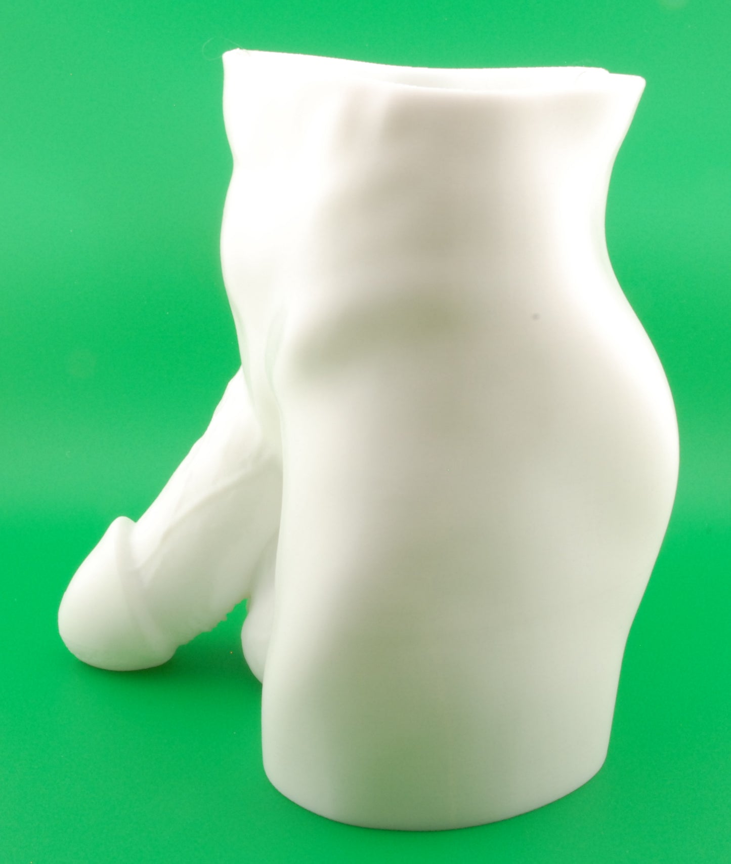 Hung & Planted Naughty Planter – Funny Adult Novelty Pot | Risqué Gag Gift | Naughty Succulent & Herb Holder