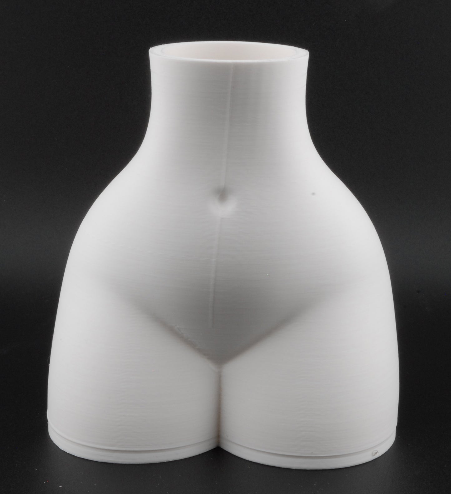 Curvy Woman Body Planter – 3D Printed Nude Female Planter | Erotic Adult Plant Pot (6") in Black or White