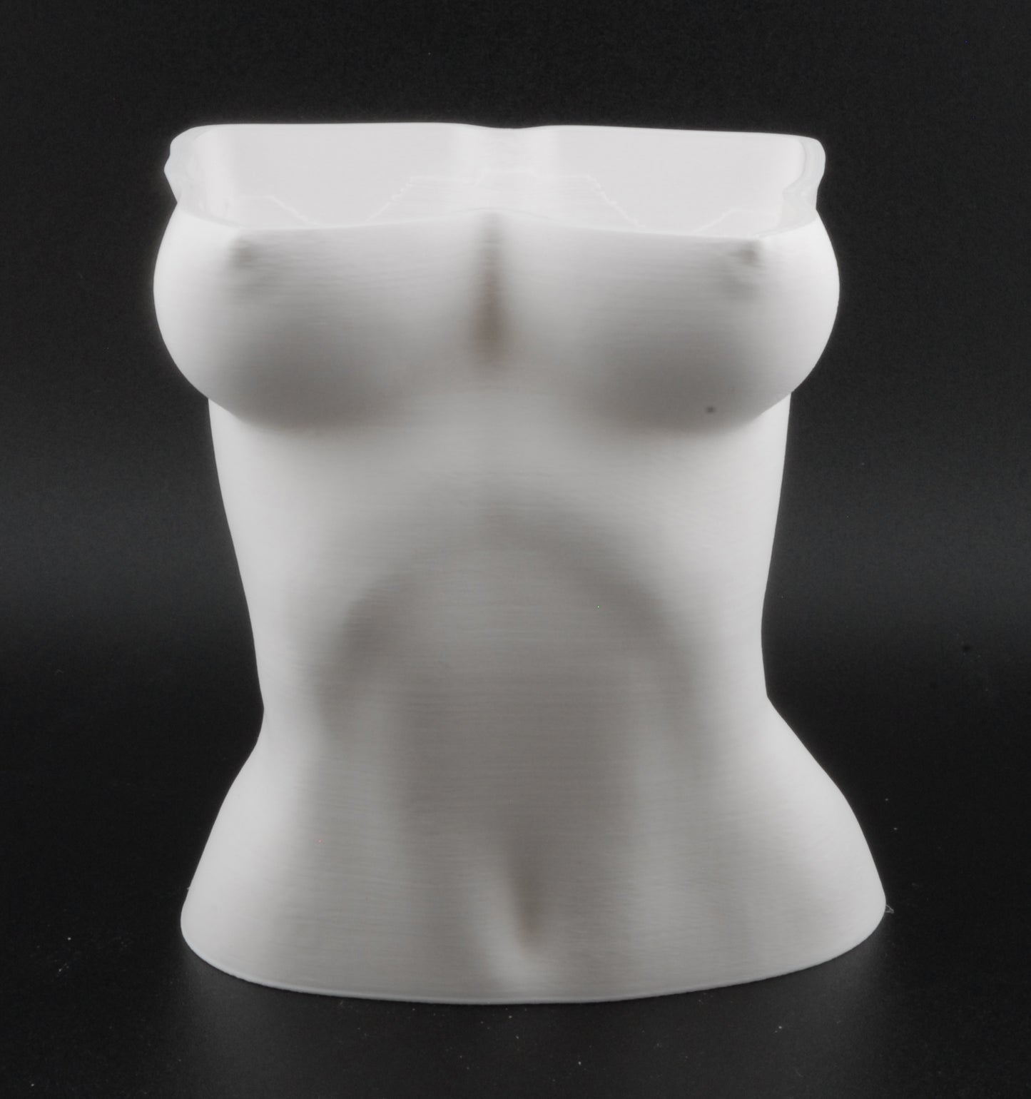 Female Bust Body Planter – 3D Printed Nude Woman Plant Pot | Erotic Torso Decor in Black or White