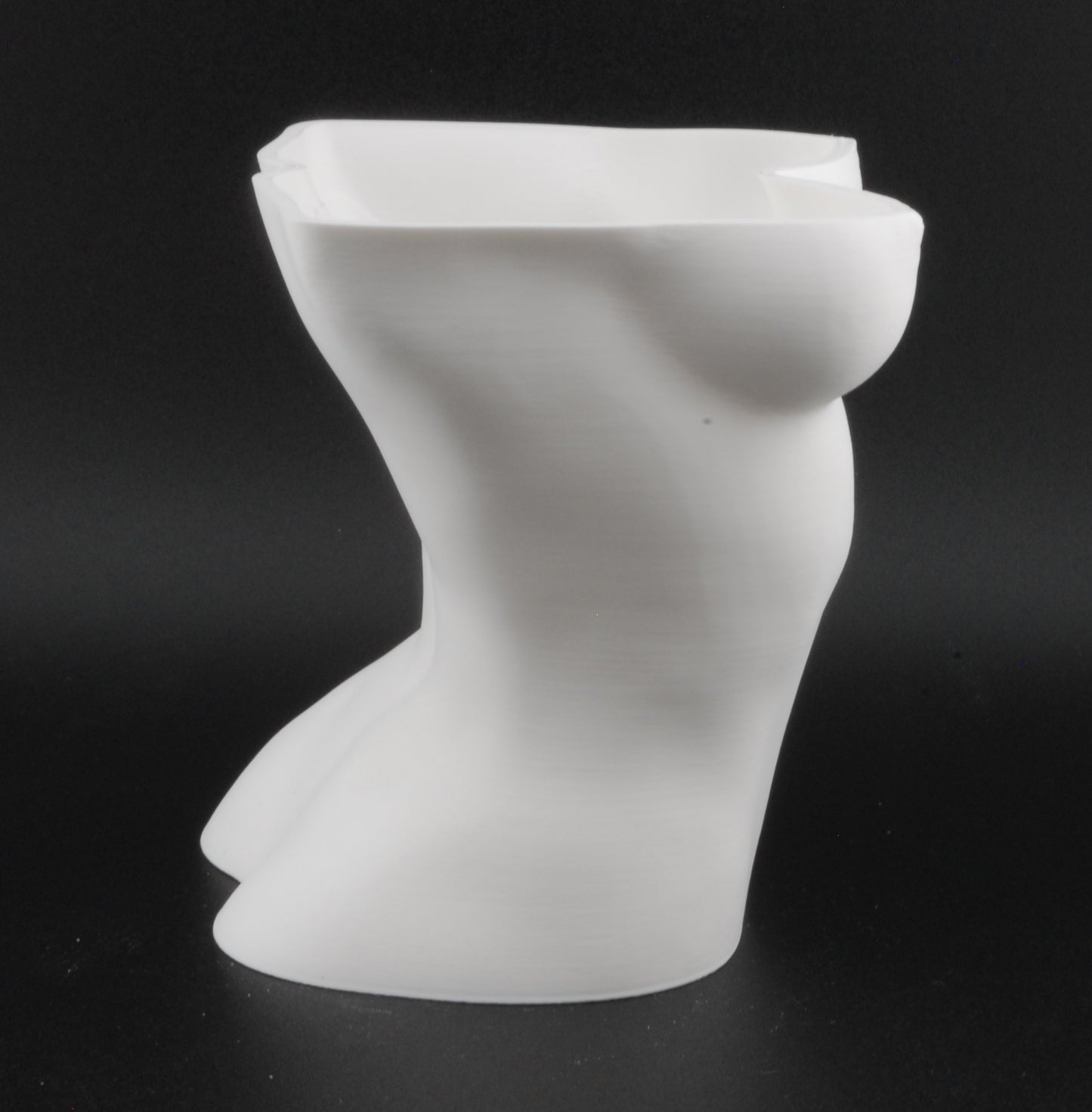 Female Bust Body Planter – 3D Printed Nude Woman Plant Pot | Erotic Torso Decor in Black or White
