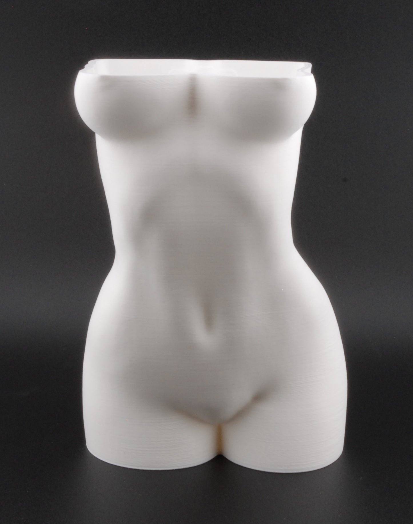 Female Torso Body Planter – 3D Printed Nude Woman Plant Pot | Erotic Modern Decor in Black or White