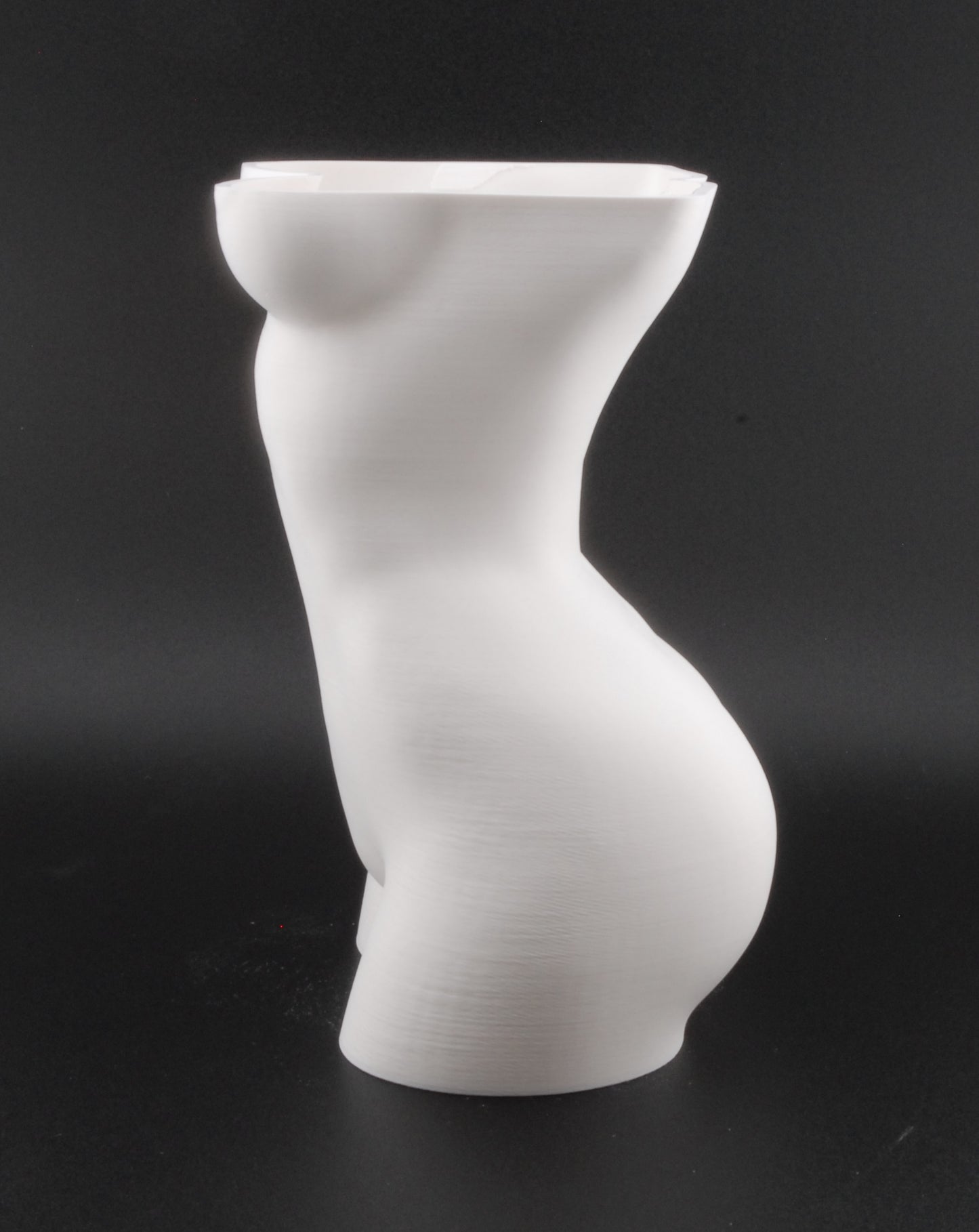 Female Torso Body Planter – 3D Printed Nude Woman Plant Pot | Erotic Modern Decor in Black or White