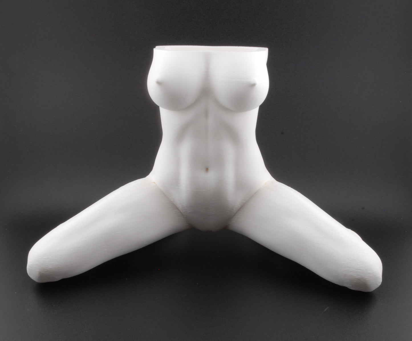Erotic Female Body Planter – 3D Printed Nude Woman with Legs Spread Pose | Adult Novelty Plant Pot (6") in Black or White