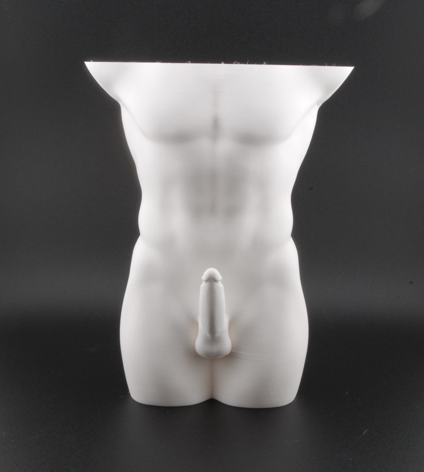 Hung & Planted Male Torso Planter – Naughty 3D Printed Adult Novelty Pot with Explicit Detail