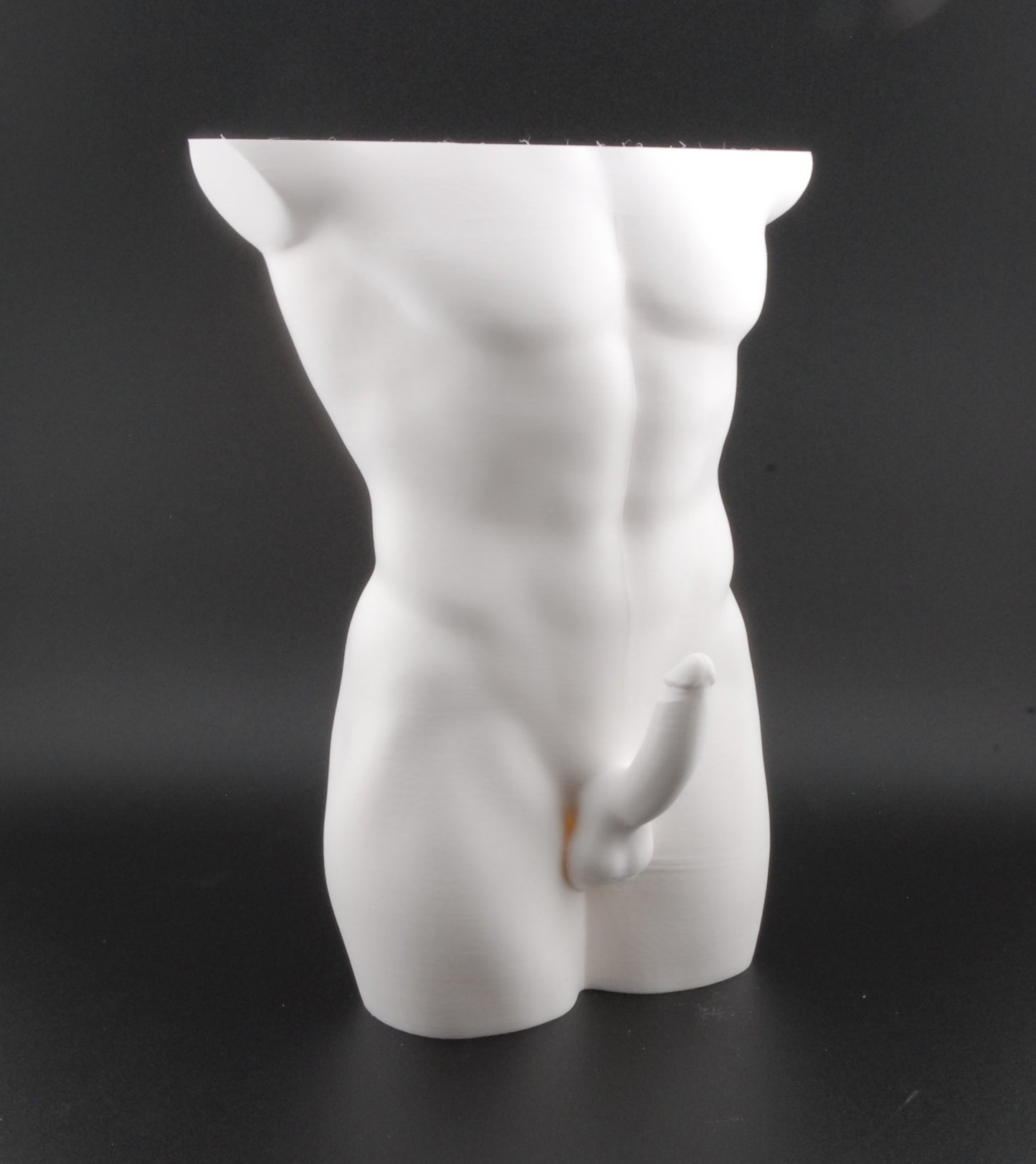 Hung & Planted Male Torso Planter – Naughty 3D Printed Adult Novelty Pot with Explicit Detail