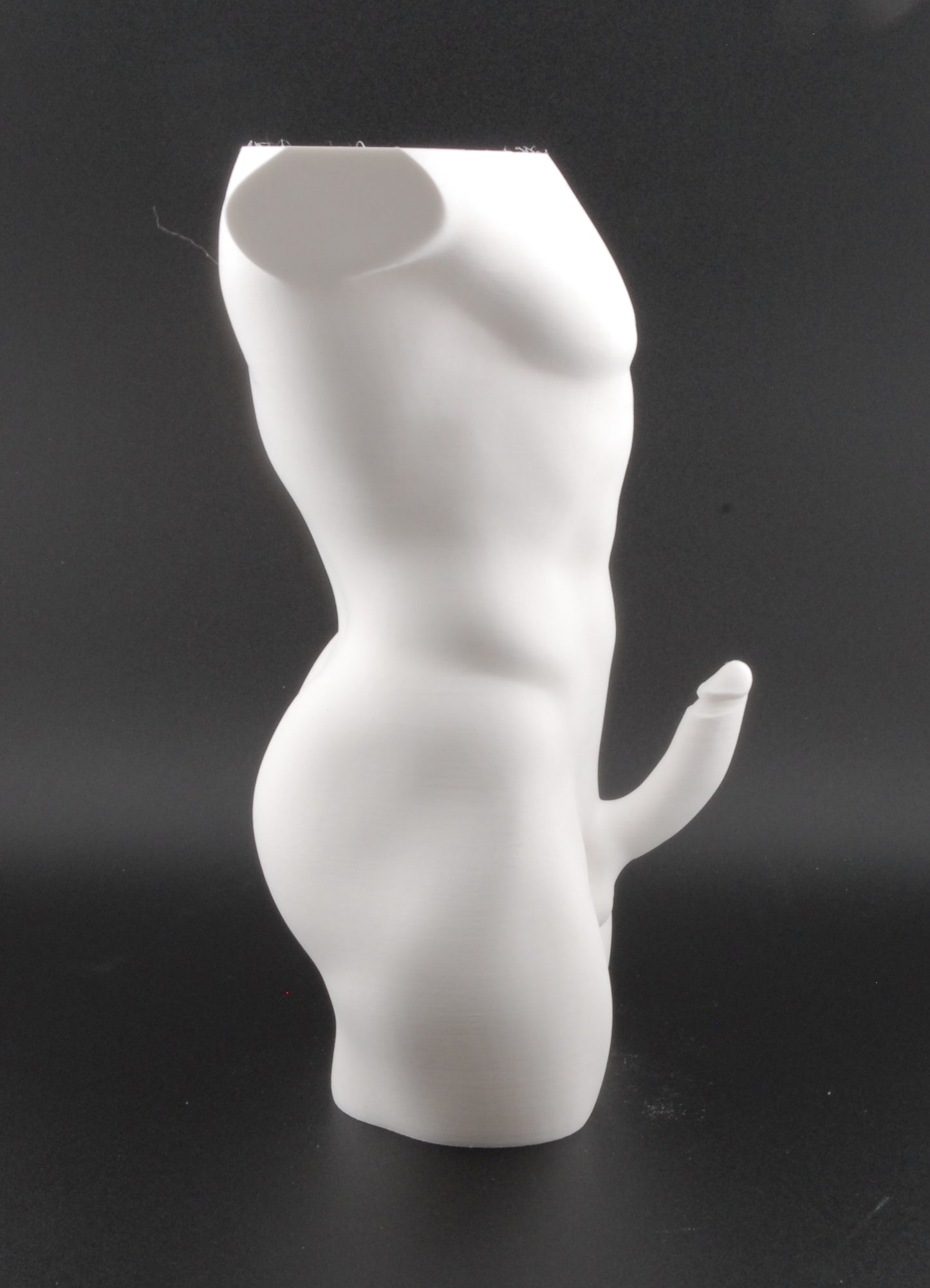 Hung & Planted Male Torso Planter – Naughty 3D Printed Adult Novelty Pot with Explicit Detail