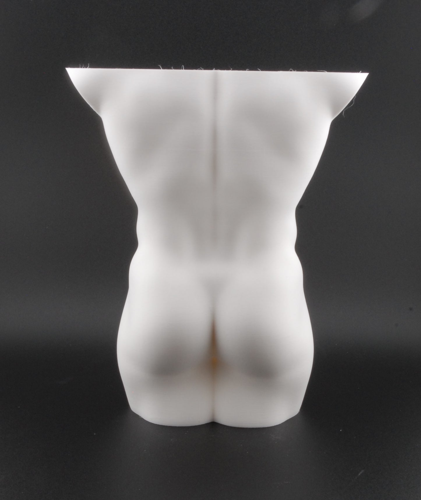 Hung & Planted Male Torso Planter – Naughty 3D Printed Adult Novelty Pot with Explicit Detail