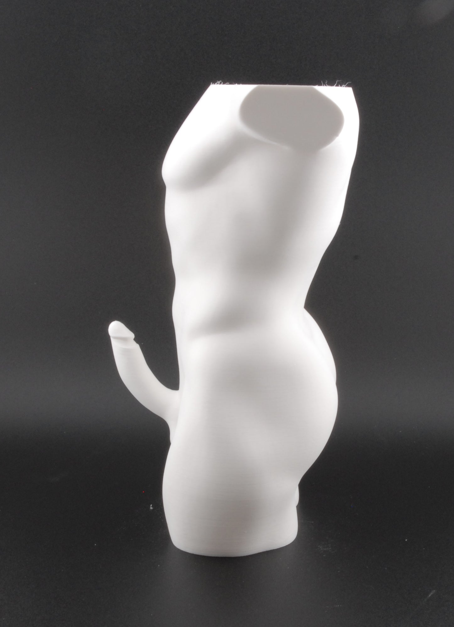Hung & Planted Male Torso Planter – Naughty 3D Printed Adult Novelty Pot with Explicit Detail
