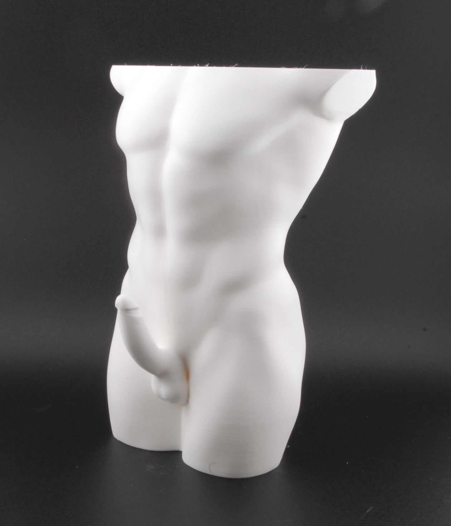 Hung & Planted Male Torso Planter – Naughty 3D Printed Adult Novelty Pot with Explicit Detail