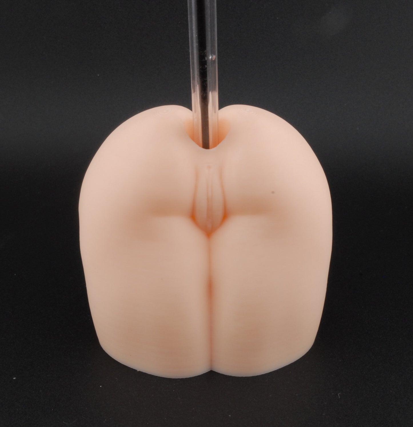 Backdoor Basics Pen Holder – Erotic Desk Décor | Naughty Office Gift | Adult Humor Pen Stand | Sexy Gag Gift | 3D Printed Novelty