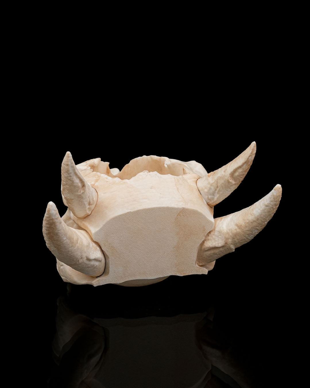 Deathroot Skull Dragon Planter – Gothic Fantasy Skull Pot | 3D Printed Mythical Home & Garden Décor (3 Sizes)