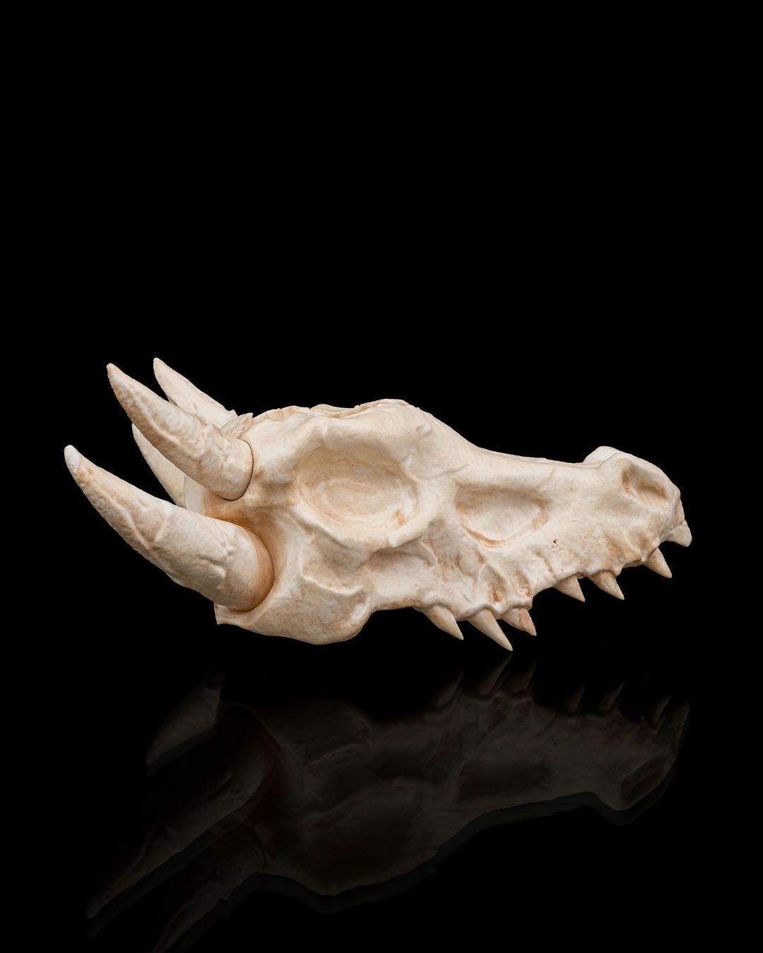 Deathroot Skull Dragon Planter – Gothic Fantasy Skull Pot | 3D Printed Mythical Home & Garden Décor (3 Sizes)