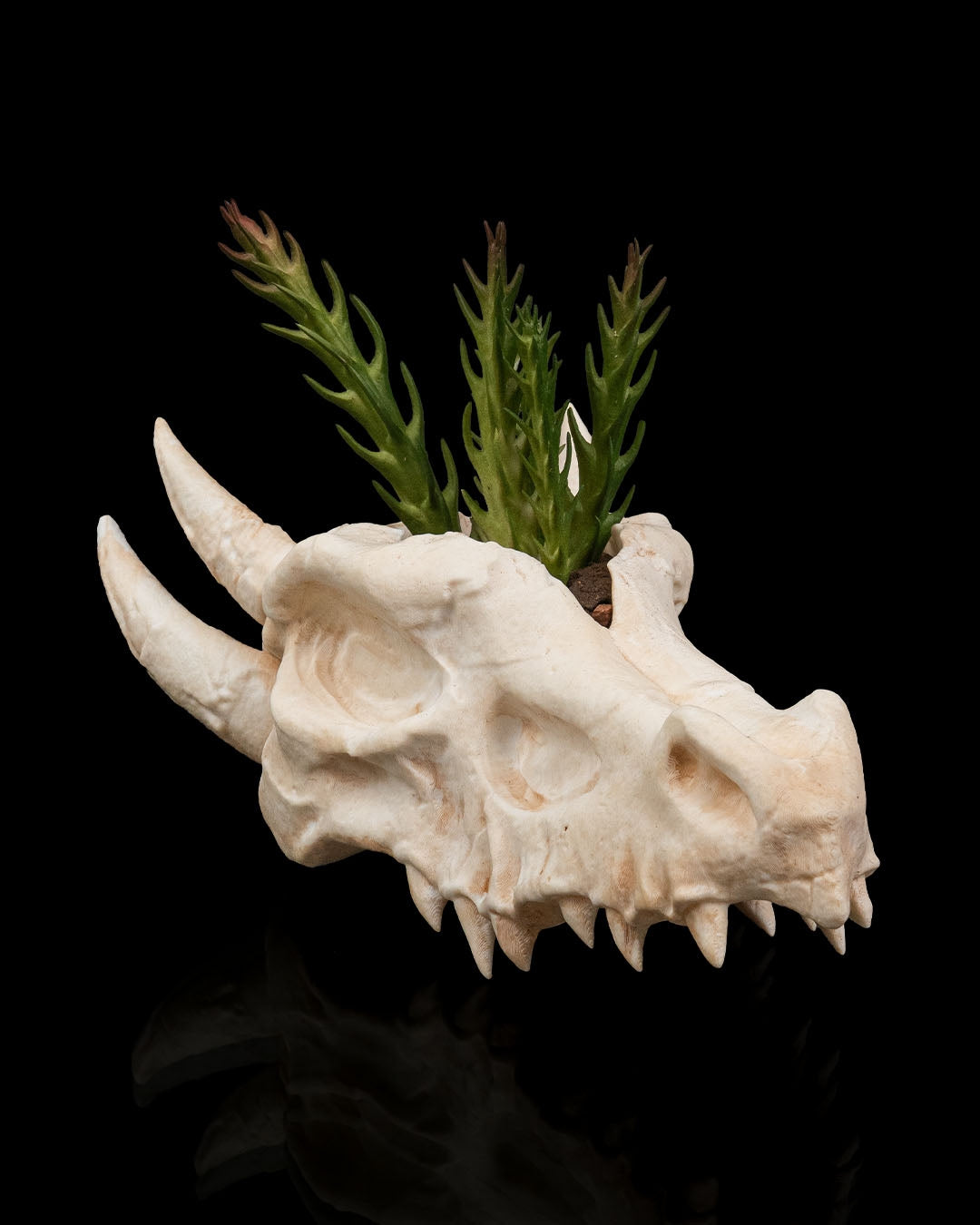 Deathroot Skull Dragon Planter – Gothic Fantasy Skull Pot | 3D Printed Mythical Home & Garden Décor (3 Sizes)