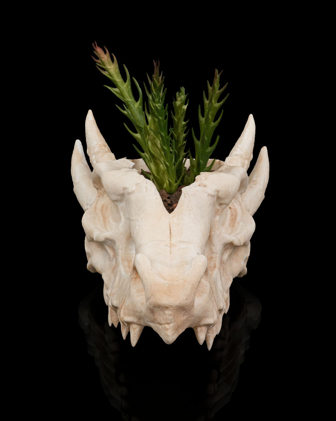 Deathroot Skull Dragon Planter – Gothic Fantasy Skull Pot | 3D Printed Mythical Home & Garden Décor (3 Sizes)