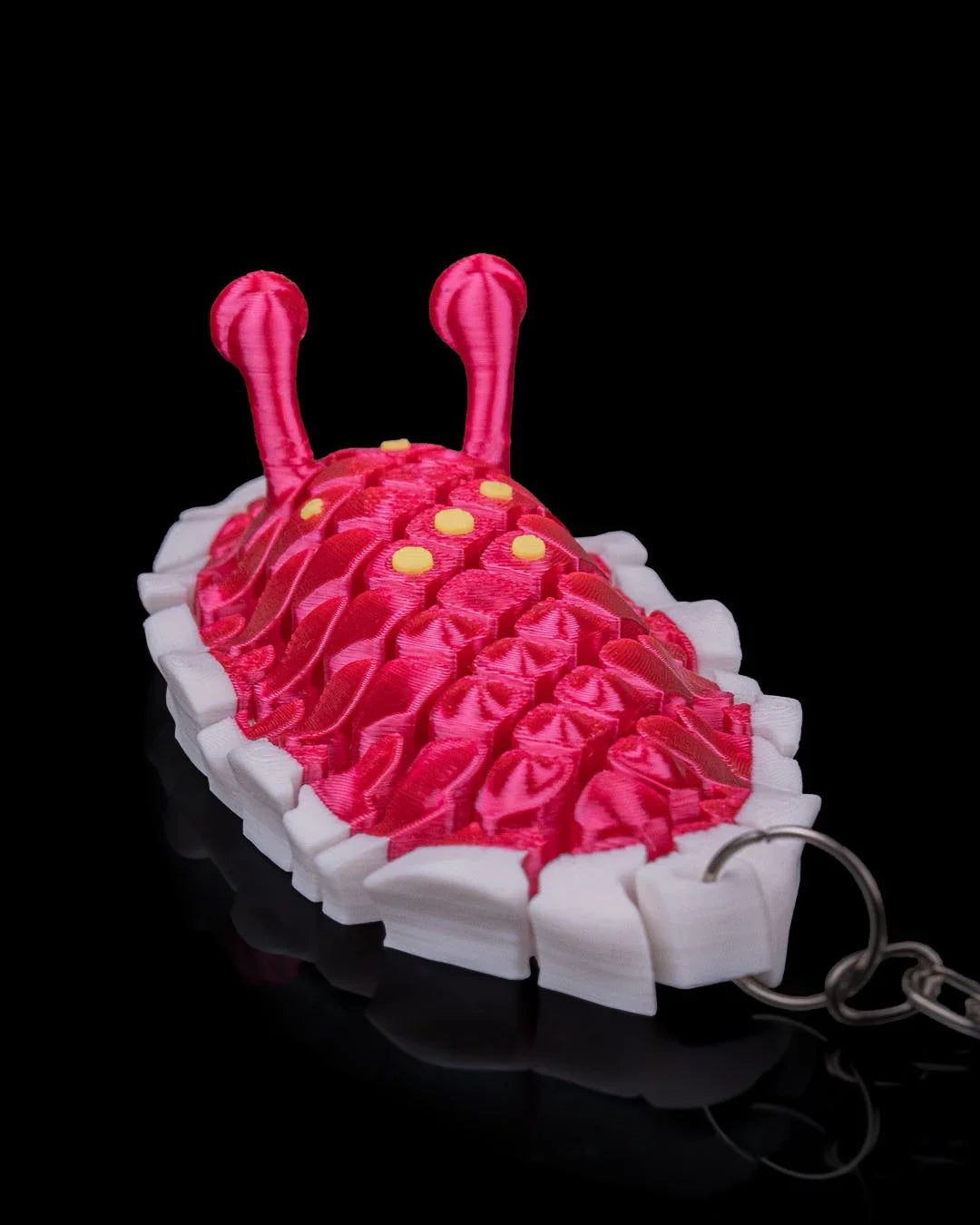 Doug the Sea Slug – Wiggles, Wobbles, and Wow - Fusion Layer 3D