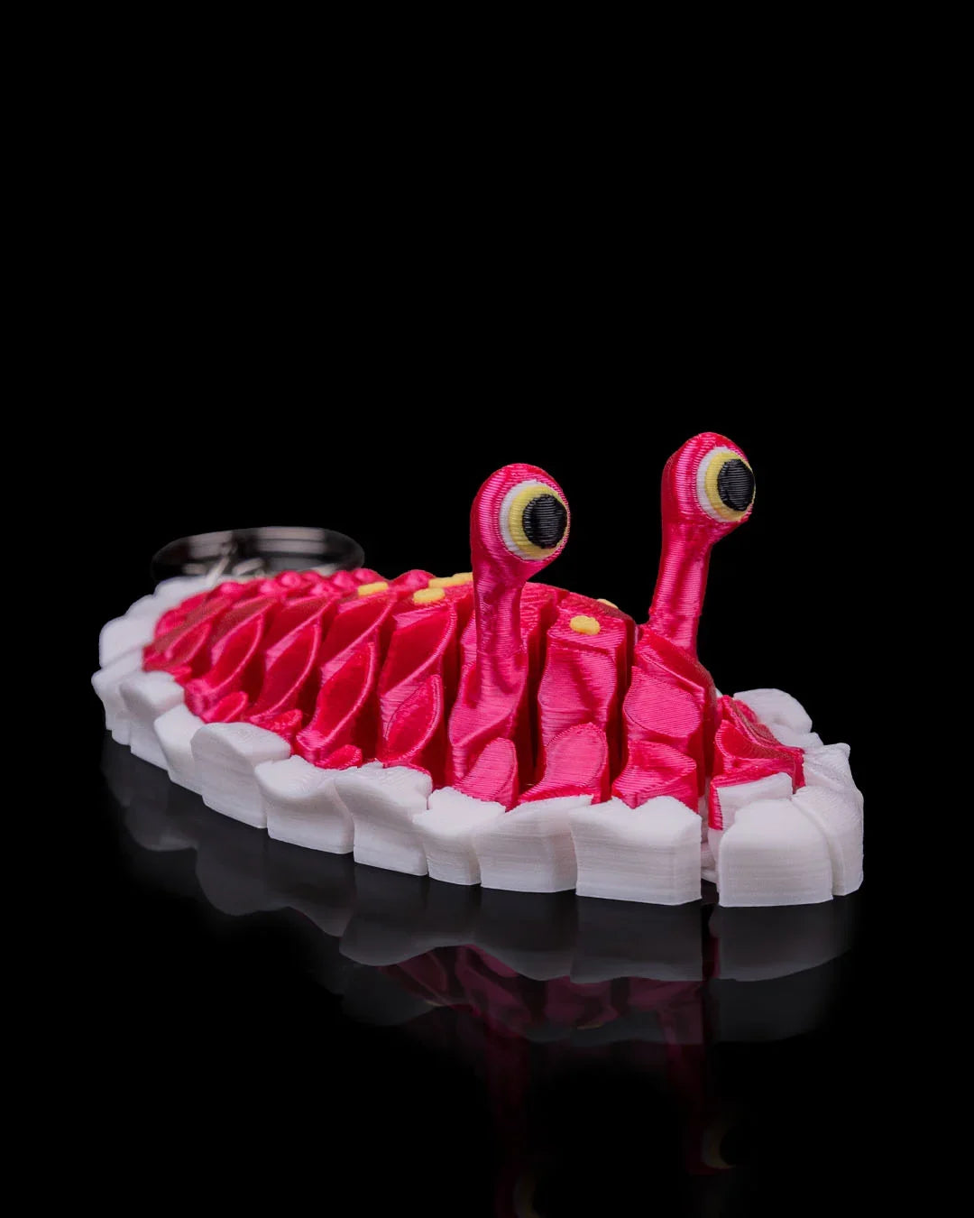 Doug the Sea Slug – Wiggles, Wobbles, and Wow - Fusion Layer 3D