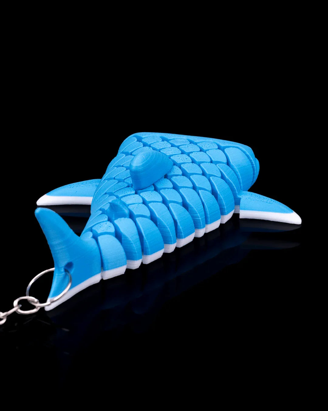 Mark the Whale Shark – Big Fins, Bigger Personality - Fusion Layer 3D