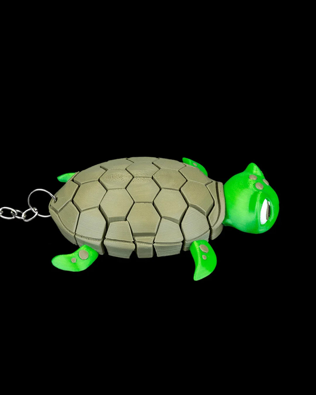 Myrtle the Turtle – Chill Vibes, Endless Wiggles - Fusion Layer 3D