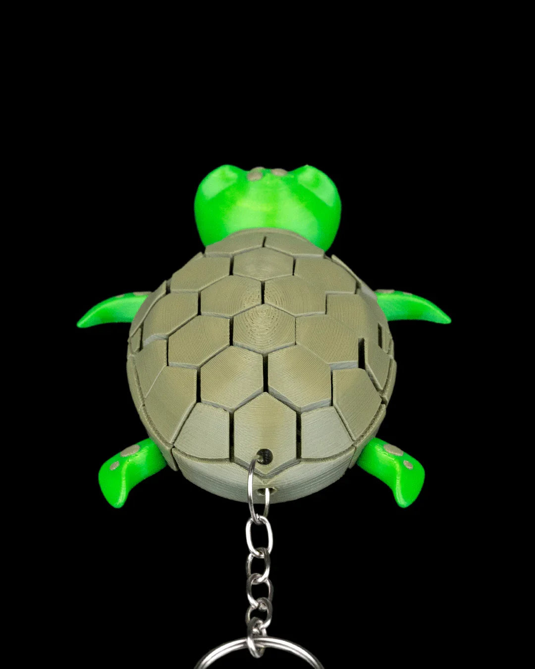 Myrtle the Turtle – Chill Vibes, Endless Wiggles - Fusion Layer 3D