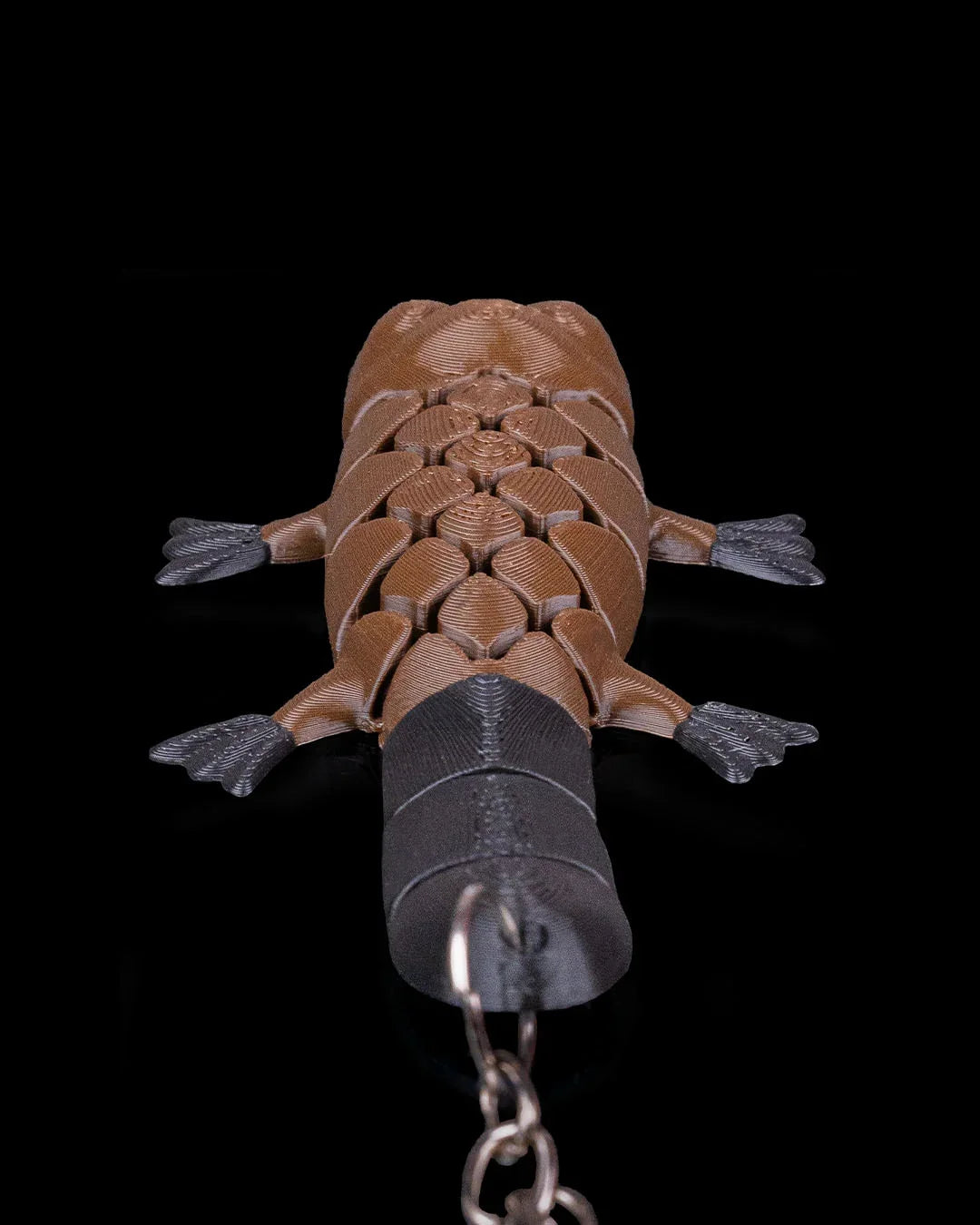 Pierre the Platypus – Weird, Wiggly, and Wonderfully Unique - Fusion Layer 3D