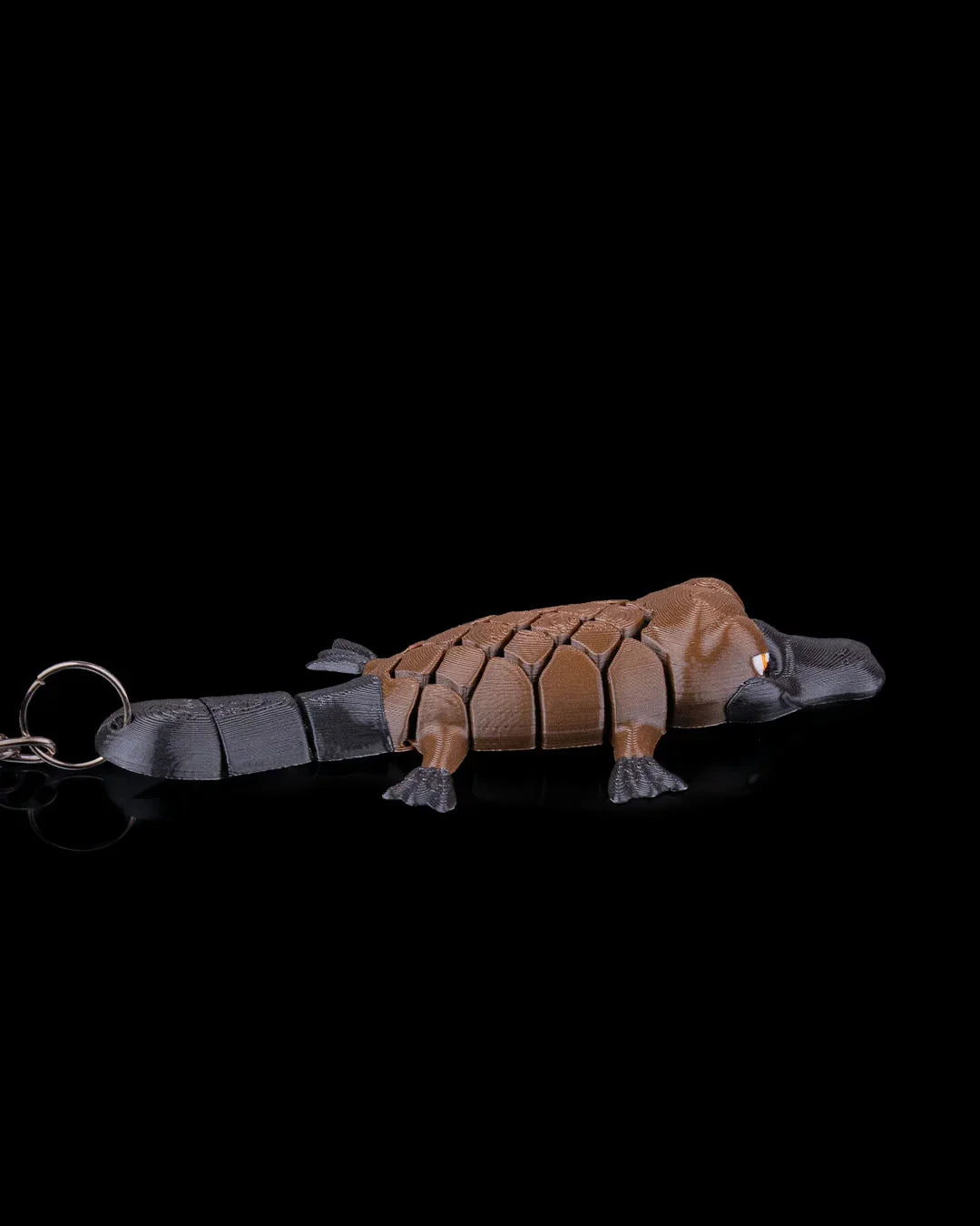 Pierre the Platypus – Weird, Wiggly, and Wonderfully Unique - Fusion Layer 3D
