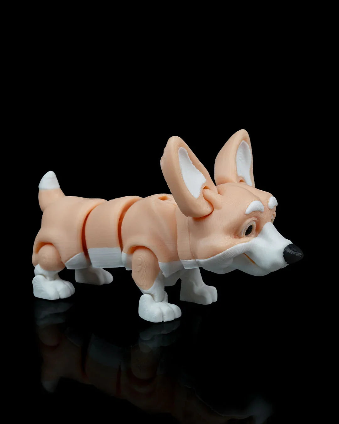 Rufus – The Low-Rider Wiggle Champ - Fusion Layer 3D
