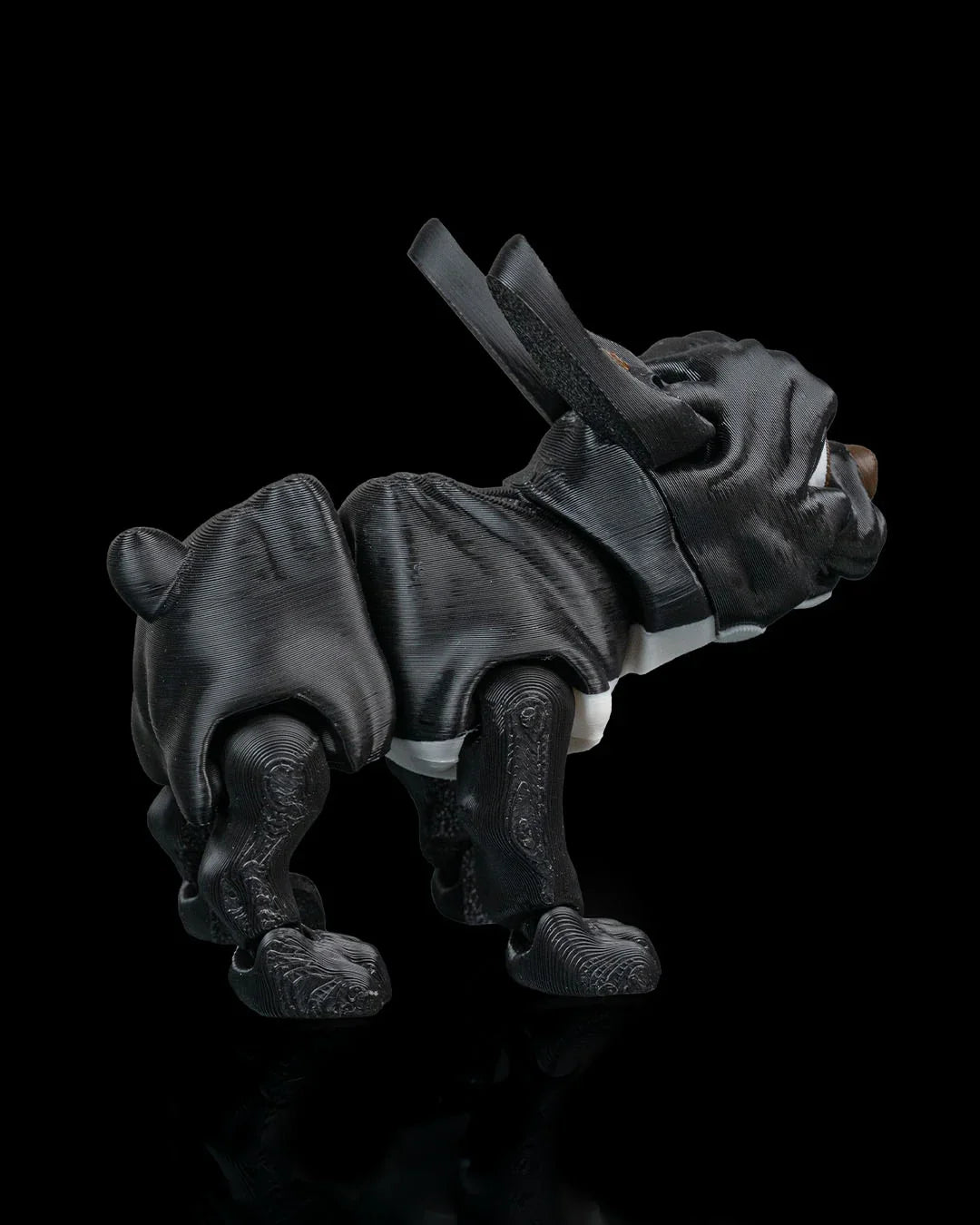 Stella – The Sassy Snorter with Style - Fusion Layer 3D