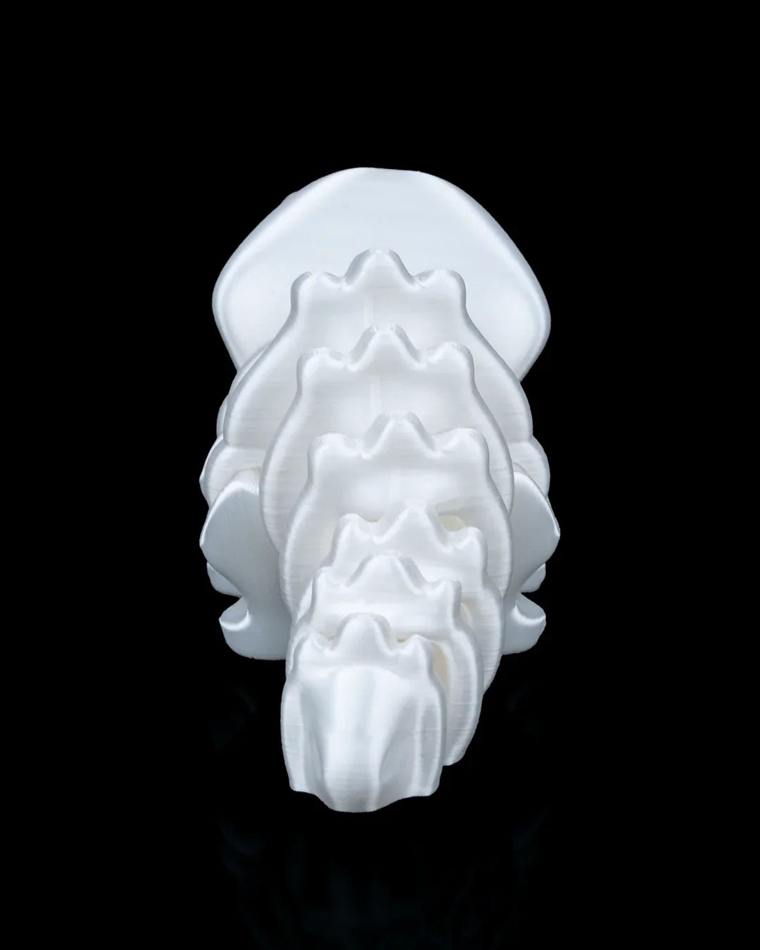 Tricera-Charm – The Three-Horned Flexi Fossil - Fusion Layer 3D