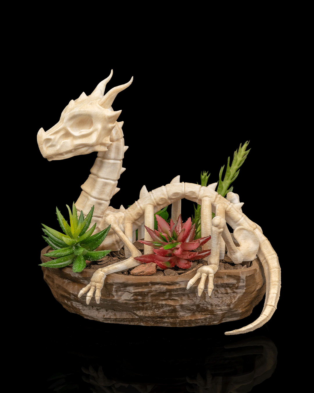 Verdant Remains Dragon Skull Planter – Fantasy Gothic Skeleton Pot | 3D Printed Mythical Home & Garden Décor