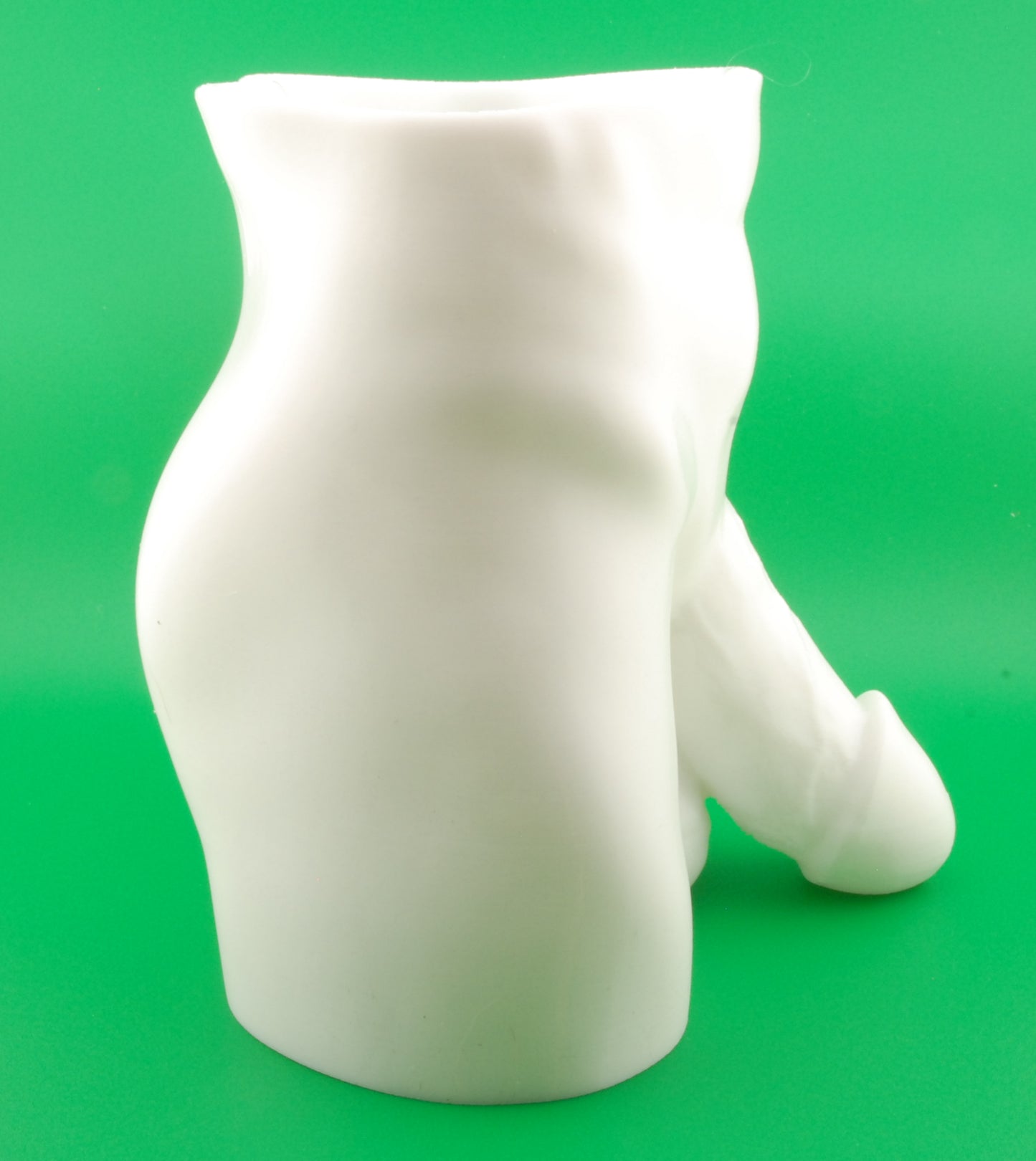 Hung & Planted Naughty Planter – Funny Adult Novelty Pot | Risqué Gag Gift | Naughty Succulent & Herb Holder