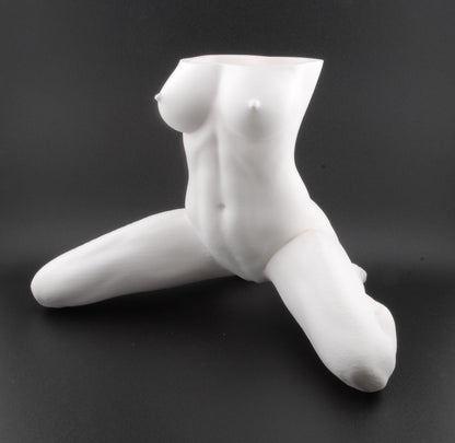 Erotic Female Body Planter – 3D Printed Nude Woman with Legs Spread Pose | Adult Novelty Plant Pot (6") in Black or White
