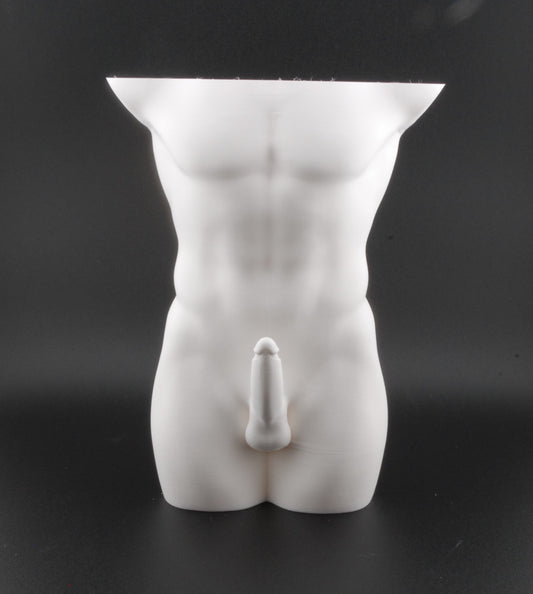 Hung & Planted Male Torso Planter – Naughty 3D Printed Adult Novelty Pot with Explicit Detail