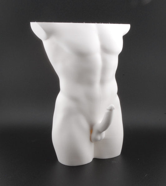 Hung & Planted Male Torso Planter – Naughty 3D Printed Adult Novelty Pot with Explicit Detail