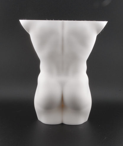 Hung & Planted Male Torso Planter – Naughty 3D Printed Adult Novelty Pot with Explicit Detail