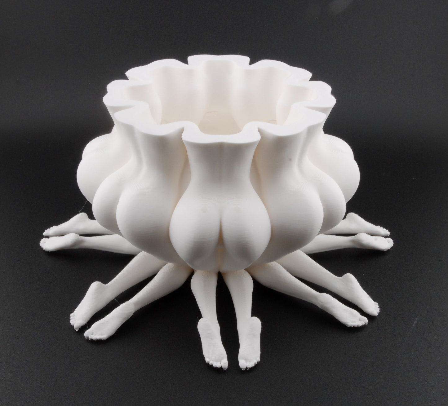 Booty Bloom Planter – Erotic Butt Flower Pot | Funny Adult Décor | 3D Printed Naughty Planter in Black or White