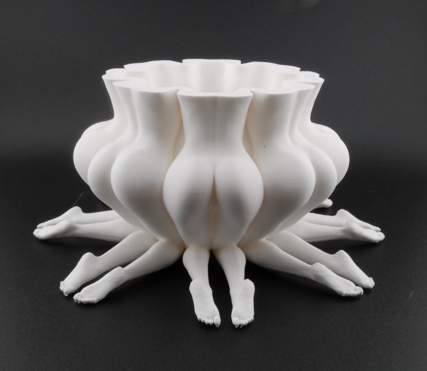 Booty Bloom Planter – Erotic Butt Flower Pot | Funny Adult Décor | 3D Printed Naughty Planter in Black or White