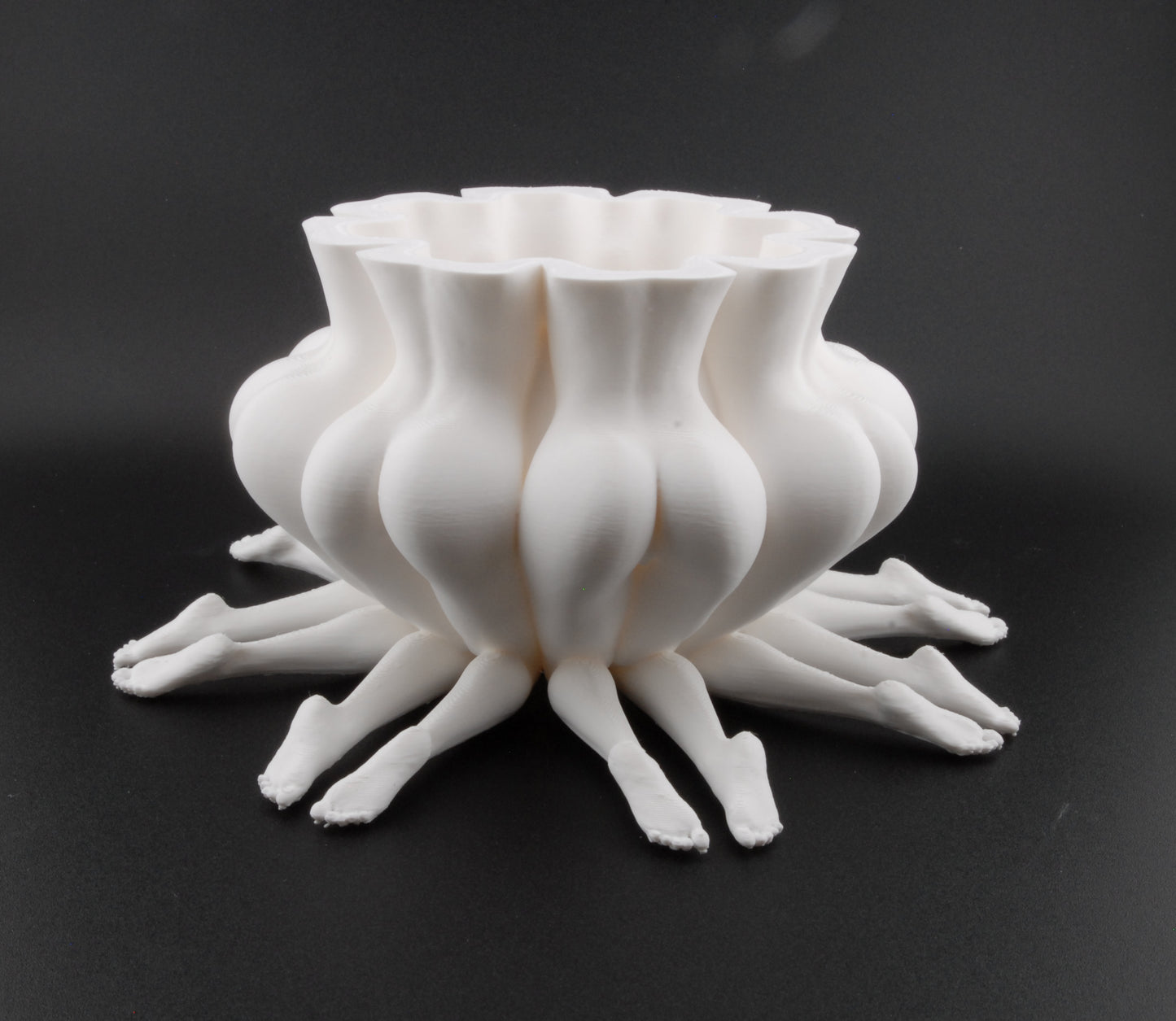 Booty Bloom Planter – Erotic Butt Flower Pot | Funny Adult Décor | 3D Printed Naughty Planter in Black or White