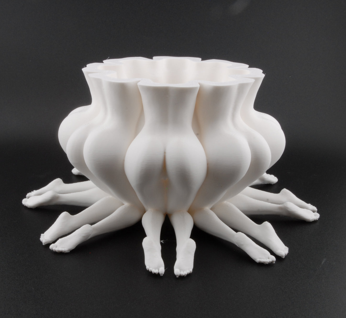 Booty Bloom Planter – Erotic Butt Flower Pot | Funny Adult Décor | 3D Printed Naughty Planter in Black or White