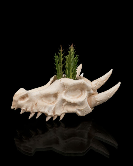 Deathroot Skull Dragon Planter – Gothic Fantasy Skull Pot | 3D Printed Mythical Home & Garden Décor (3 Sizes)