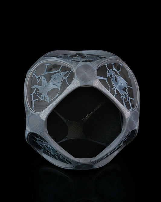 Dragon Pattern Pet Pod – For the Fiercely Cuddly - Fusion Layer 3D