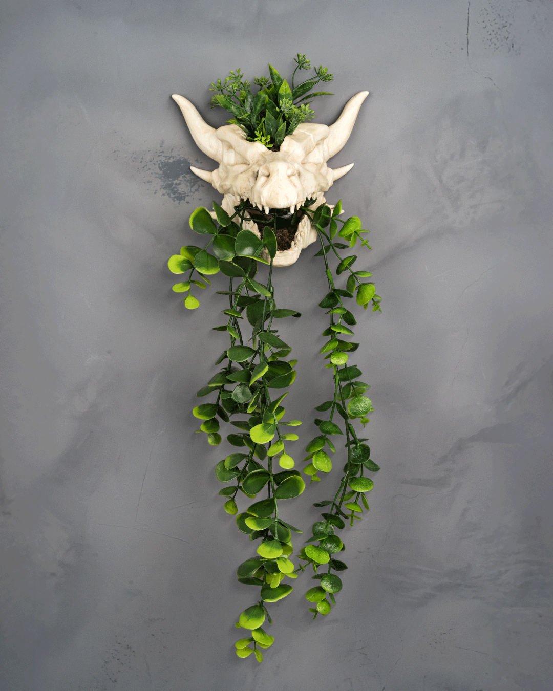 Drip & Decay Dragon Skull Wall Planter – Gothic Fantasy Hanging Pot | 3D Printed Skull Wall Décor (2 Sizes)