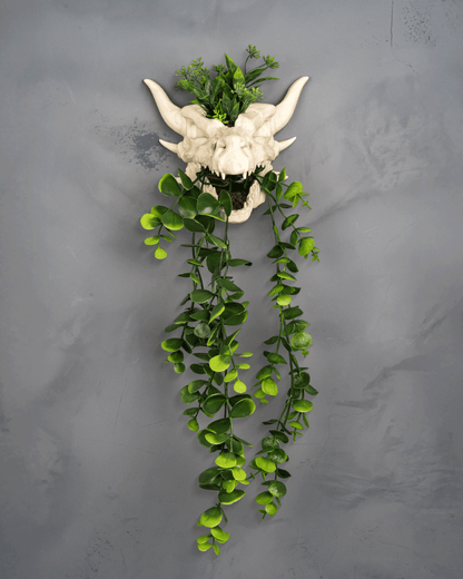 Drip & Decay Dragon Skull Wall Planter – Gothic Fantasy Hanging Pot | 3D Printed Skull Wall Décor (2 Sizes)