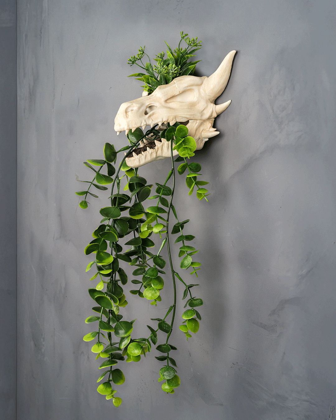 Drip & Decay Dragon Skull Wall Planter – Gothic Fantasy Hanging Pot | 3D Printed Skull Wall Décor (2 Sizes)