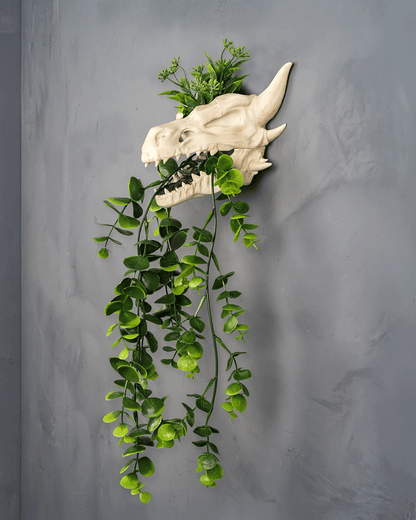 Drip & Decay Dragon Skull Wall Planter – Gothic Fantasy Hanging Pot | 3D Printed Skull Wall Décor (2 Sizes)