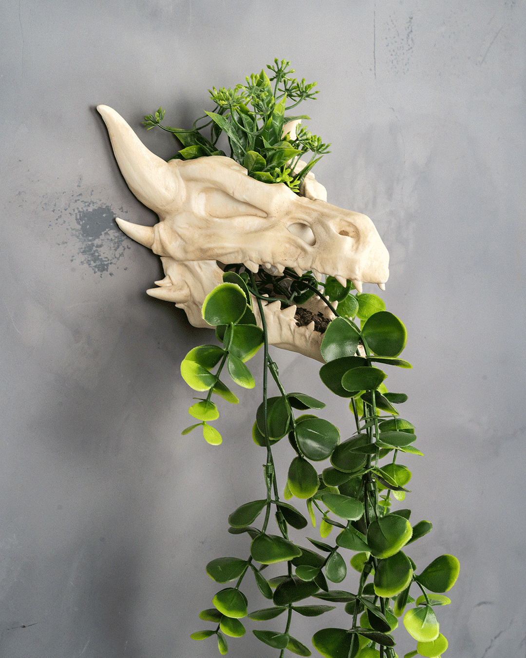 Drip & Decay Dragon Skull Wall Planter – Gothic Fantasy Hanging Pot | 3D Printed Skull Wall Décor (2 Sizes)