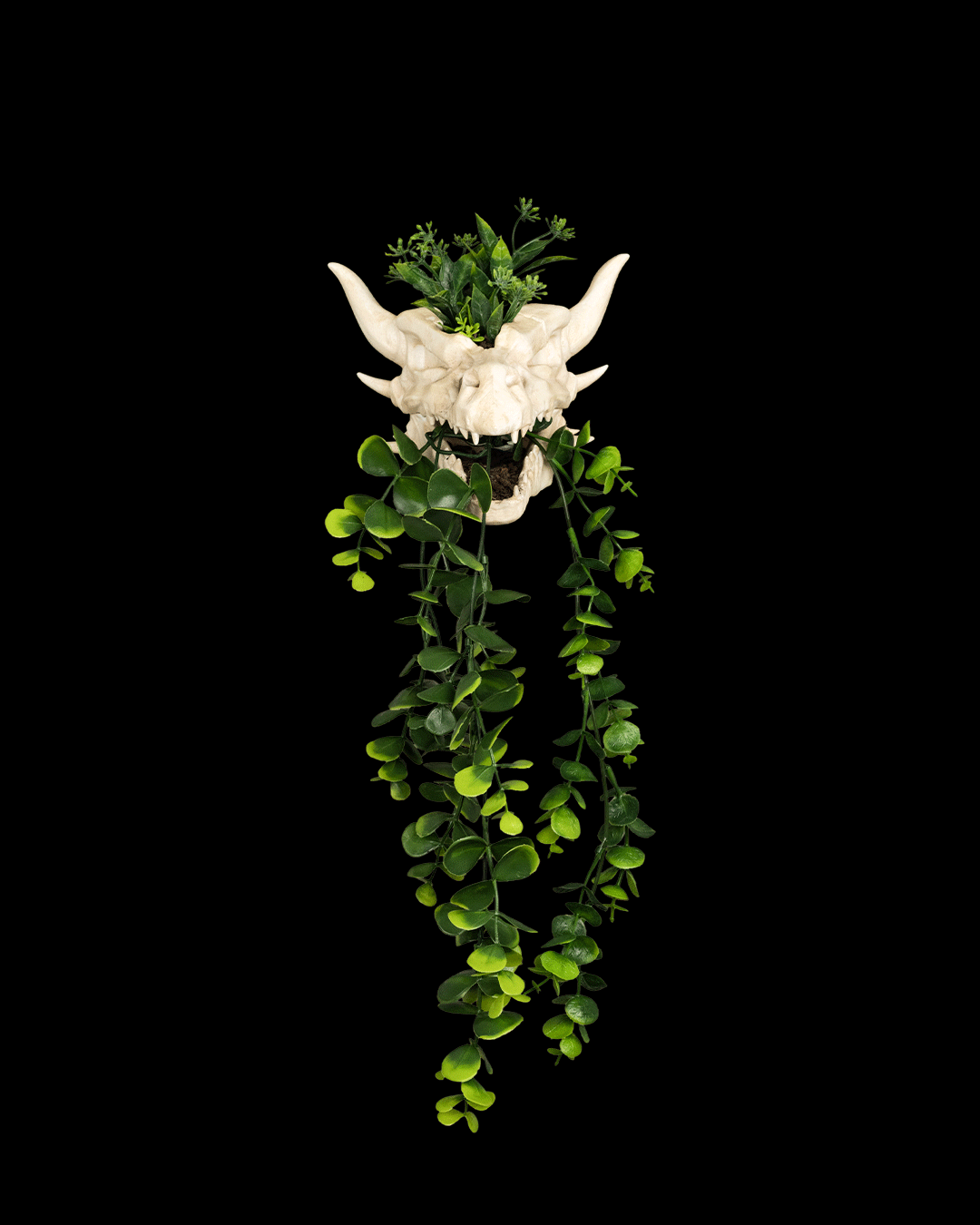 Drip & Decay Dragon Skull Wall Planter – Gothic Fantasy Hanging Pot | 3D Printed Skull Wall Décor (2 Sizes)