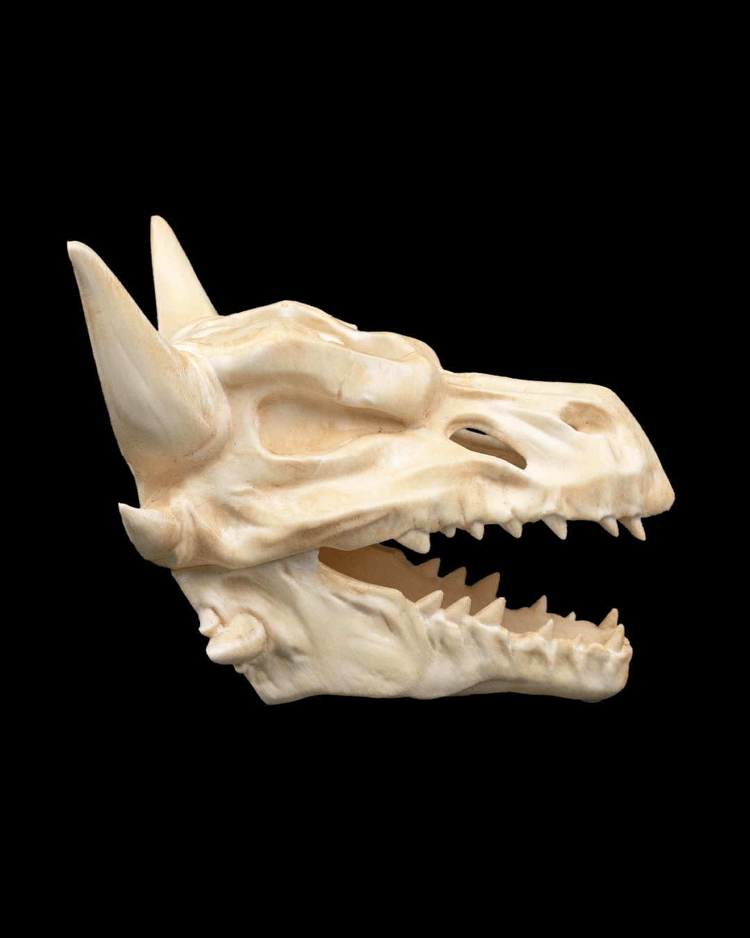 Drip & Decay Dragon Skull Wall Planter – Gothic Fantasy Hanging Pot | 3D Printed Skull Wall Décor (2 Sizes)