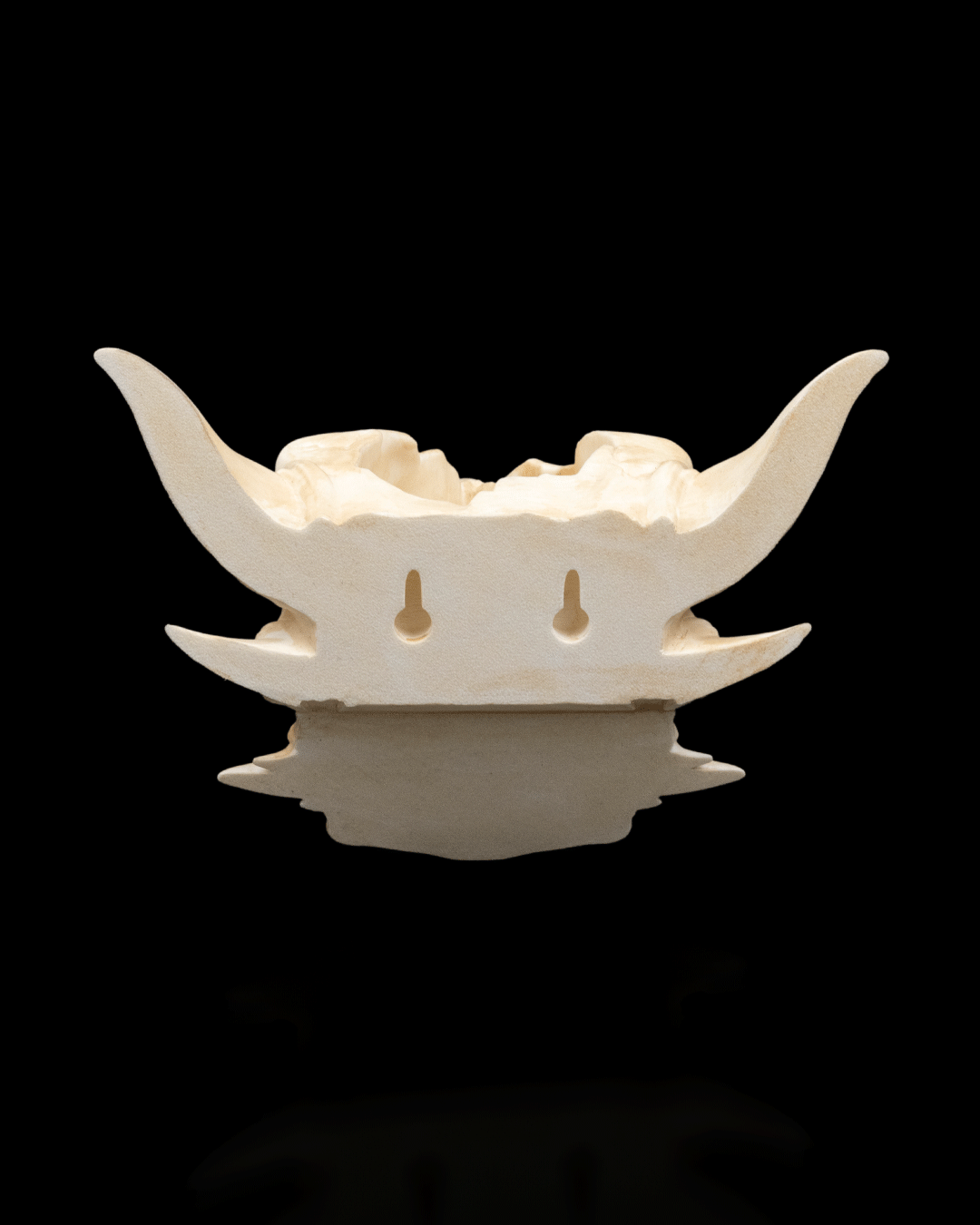 Drip & Decay Dragon Skull Wall Planter – Gothic Fantasy Hanging Pot | 3D Printed Skull Wall Décor (2 Sizes)